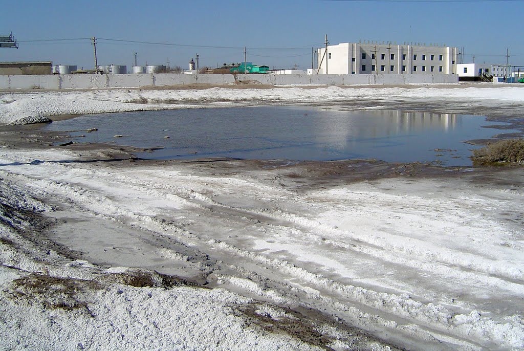 Soda sediments near Kungrad Cargo Station, Кунград