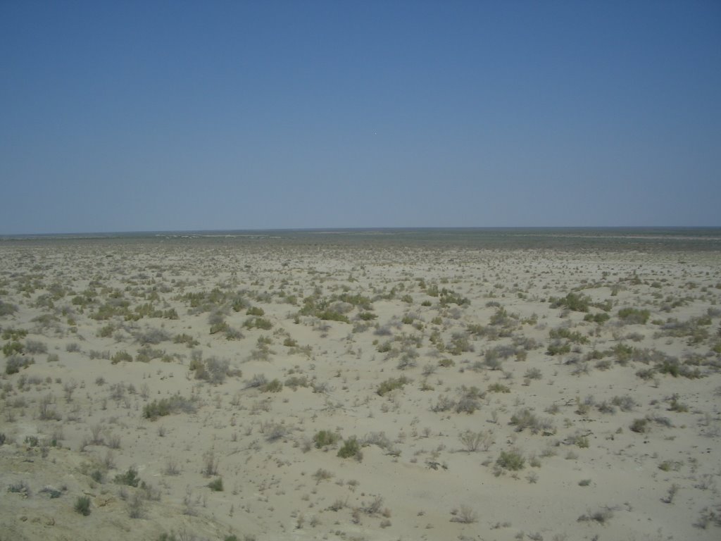 Aral Sea 2007, Муйнак