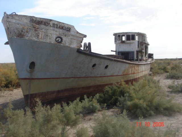Muynak Aral Sea, Чимбай