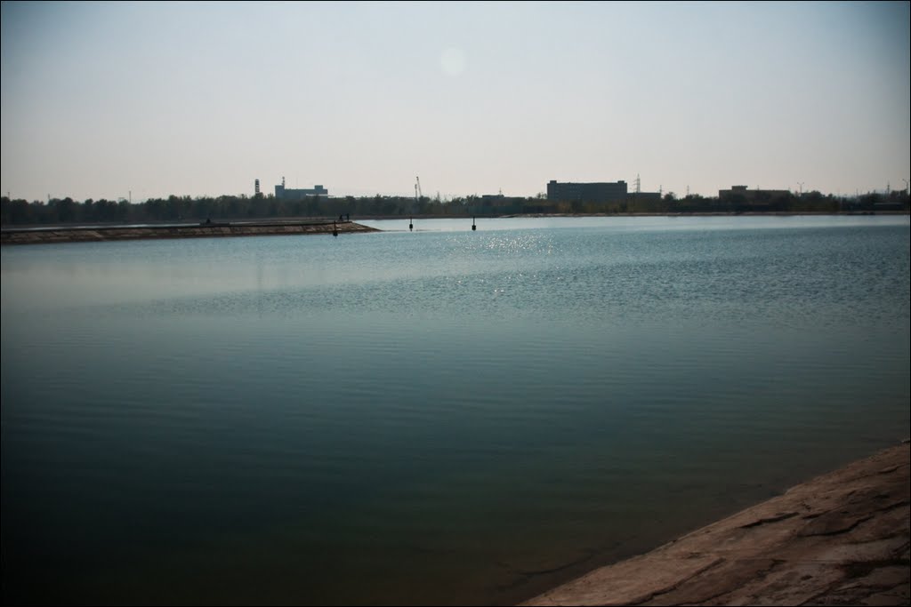 История из жизни: как я строила оазис в пустыне ЕЩЁ НЕ ВЕЧЕР Дзен