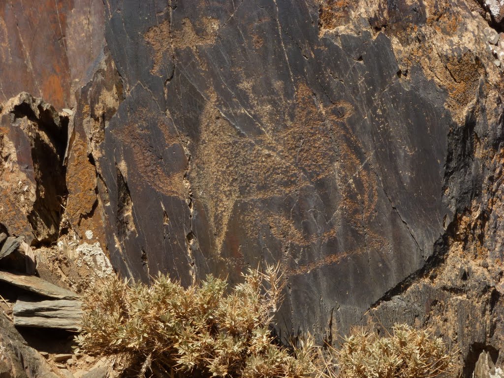 Petroglifos in Nurata zone, Ингичка
