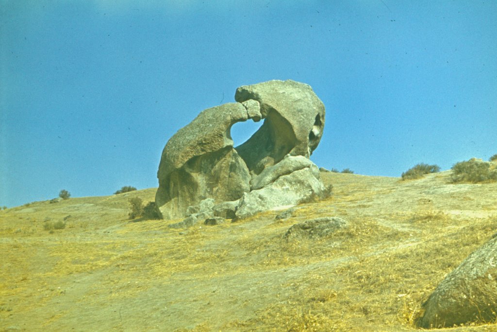"Two bears" stone, Красногвардейск