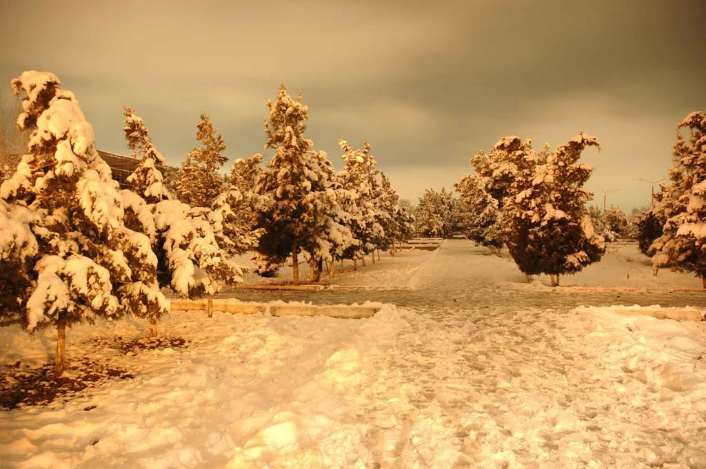 Winter in Central Termez, Термез