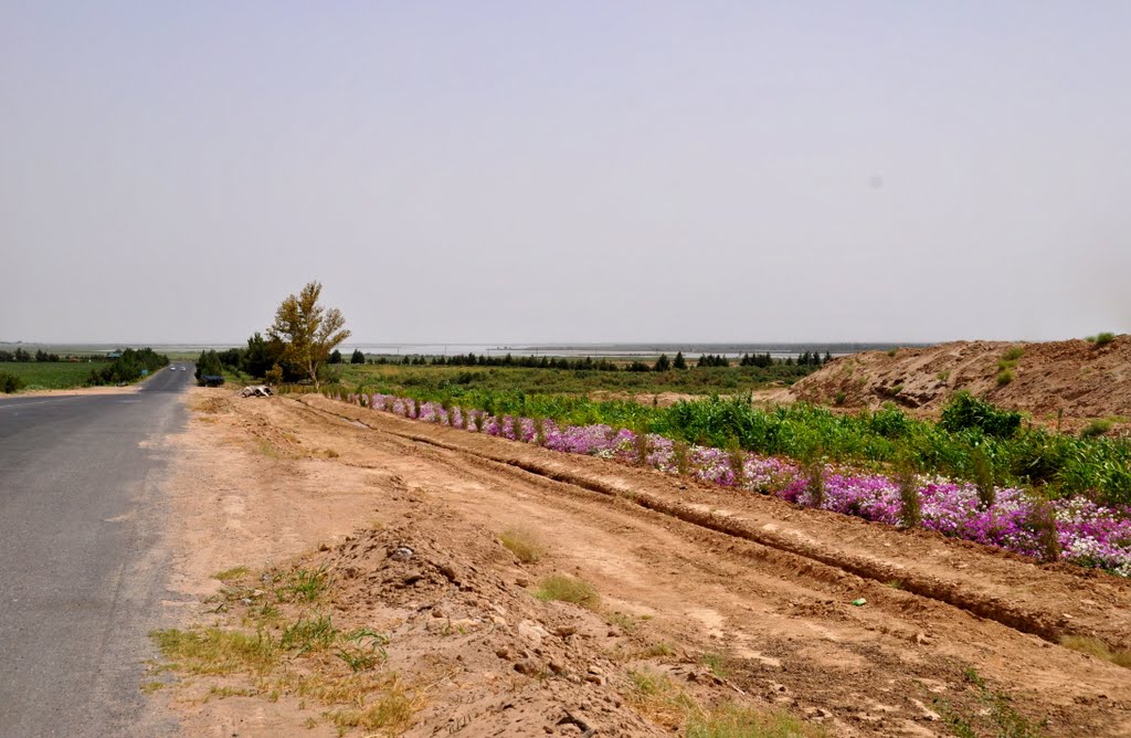 Border with Afghanistan in Termez, Uzbekistan., Шерабад