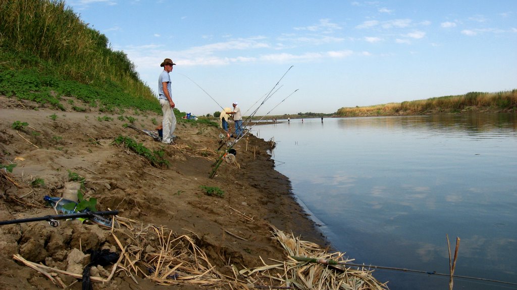 На рыбалке, река "Сырдарья" рядом с впадением "Восточного", Верхневолынское