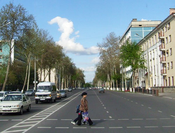 Нукусская улица, Димитровское