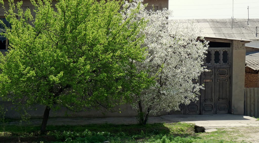 Весенние наряды. Аttired in spring colors., Димитровское