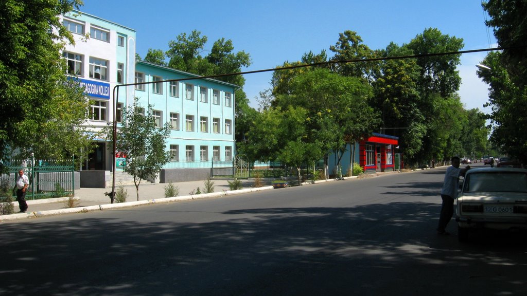 Сырдарьинский Педагогический Колледж, Сырдарья