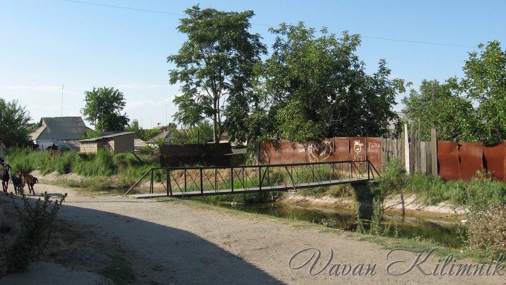 Железный мост, Сырдарья