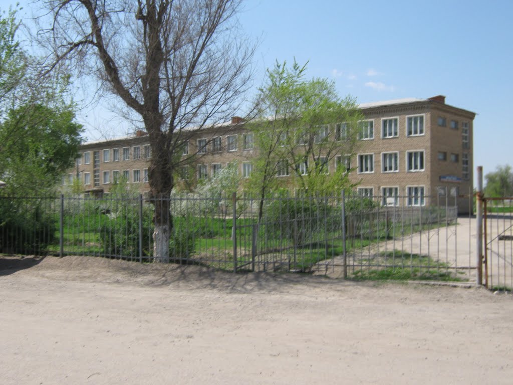 27 школа, Сырдарья