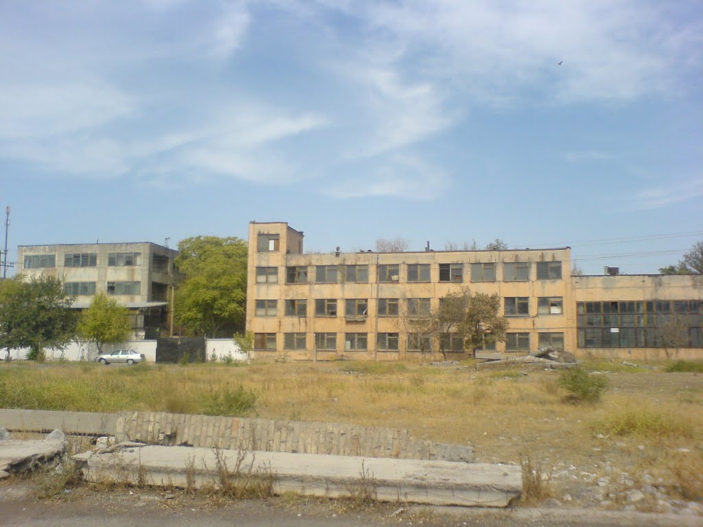 Развалины алмалыкского завода бытовой химии (4), Алмалык