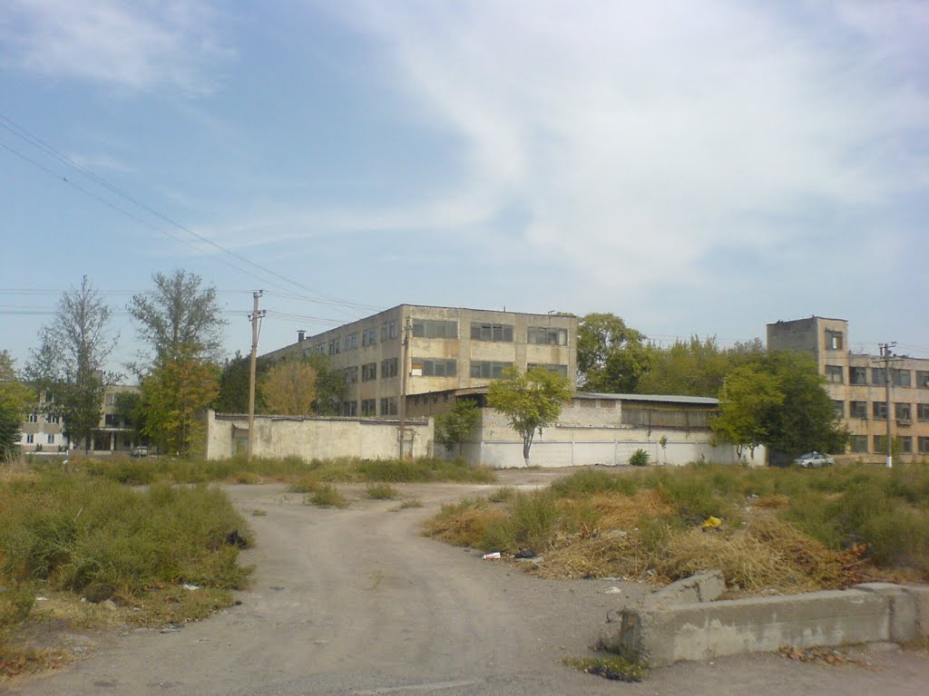 Развалины алмалыкского завода бытовой химии (8), Алмалык