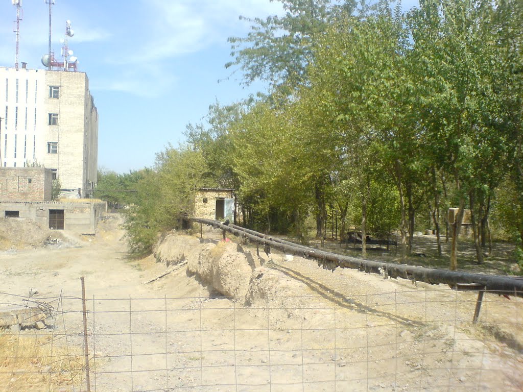 Развалины алмалыкского завода бытовой химии (10), Алмалык