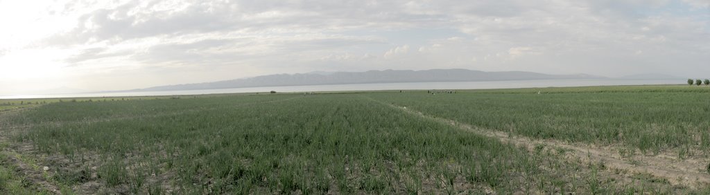 Kayrakum sea. View from Karakchikum. Tajikistan., Пскент