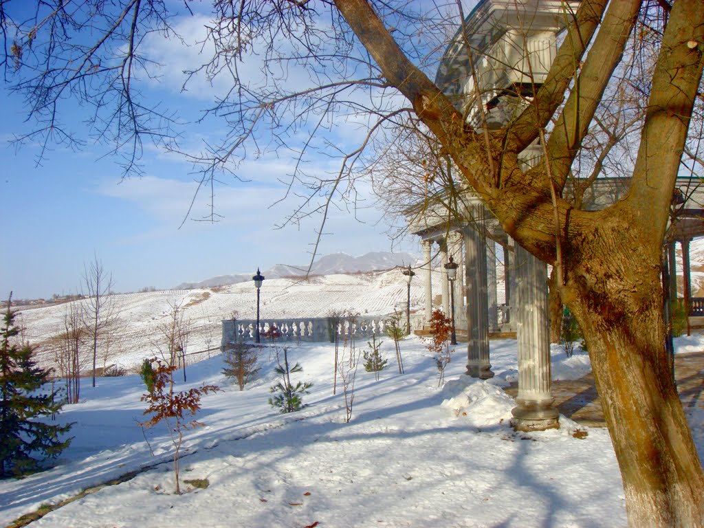 зимний пейзаж, Солдатский