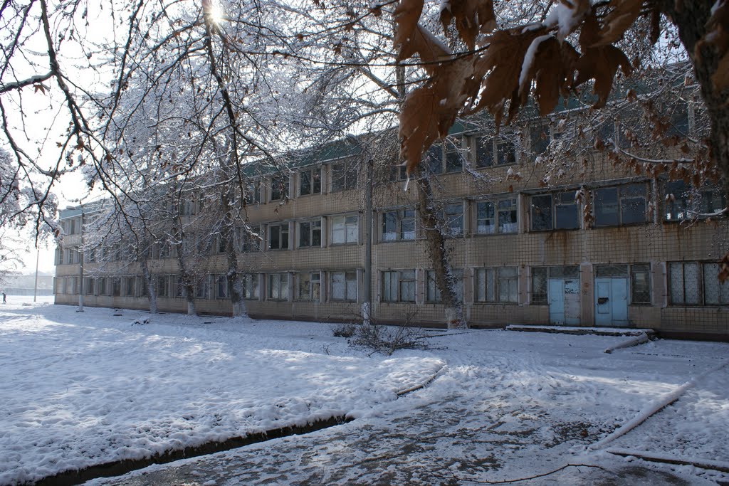 Шлола 255, Ташкент