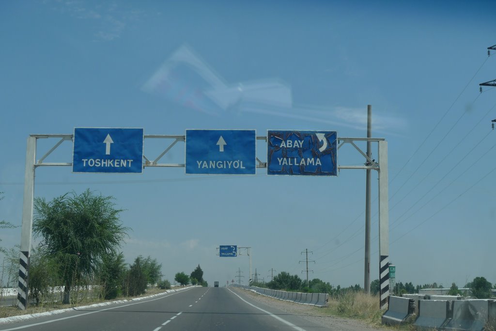 Going to Tashkent Form Samarkand, Чиназ