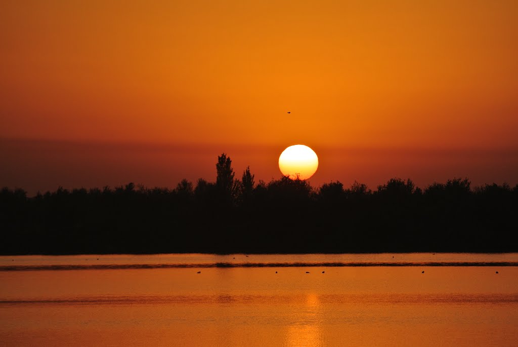 Sunset Yallama, Чиназ