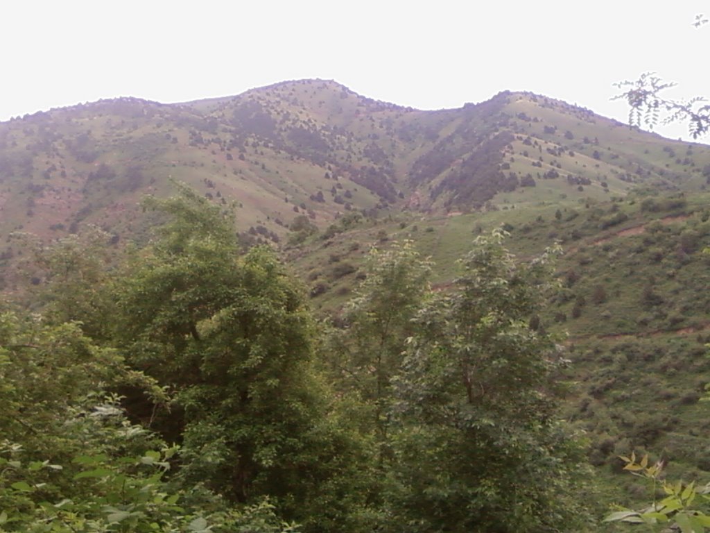 Три горы, Янгиабад