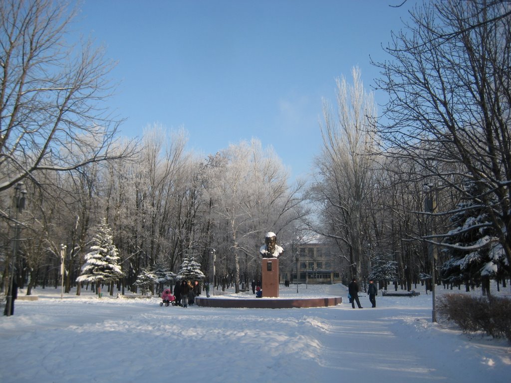 Бульвар Шевченко. Зима 2008-2009, Авдеевка