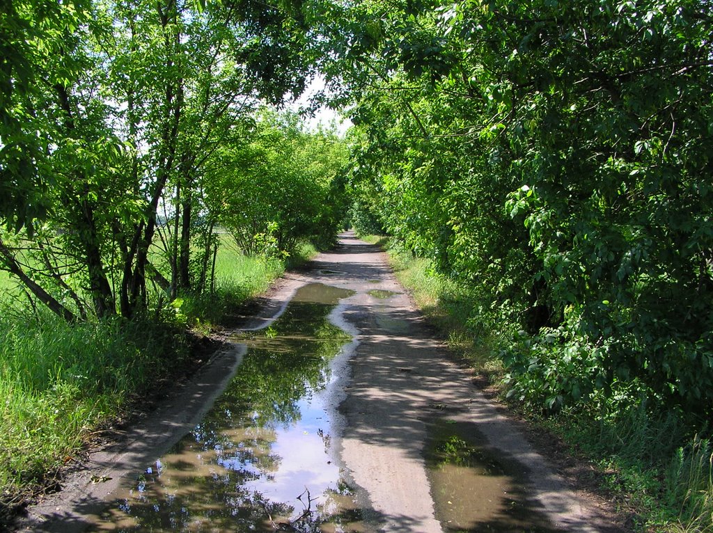 "Дорога жизни" (Road of Life), Авдеевка