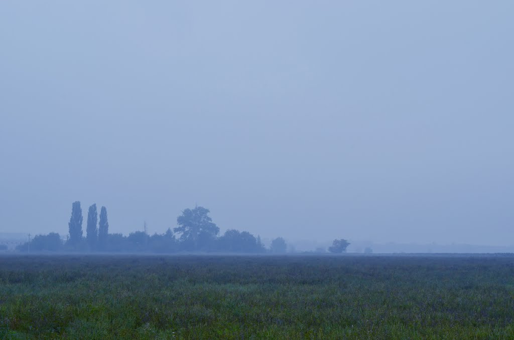 В тумане (In the fog), Авдеевка