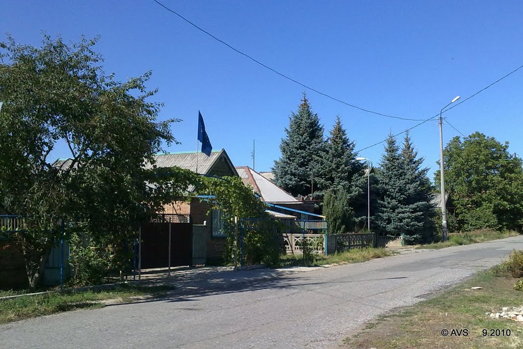 дом с флагом Партии Регионов, Артемовск