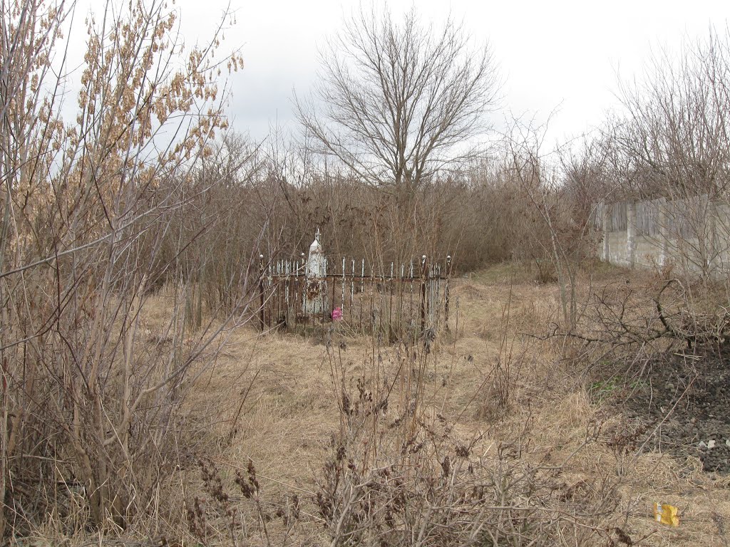Заброшенное кладбище, Беленькое