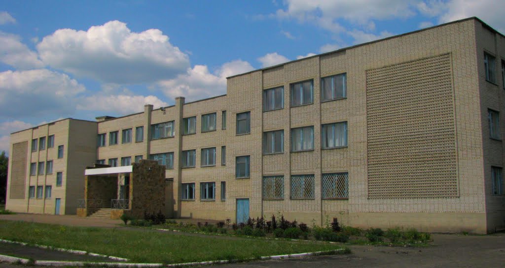 гимназия, Великая Новоселка