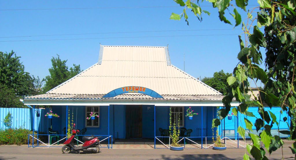 магазин Теремок (лето 2010), Великая Новоселка