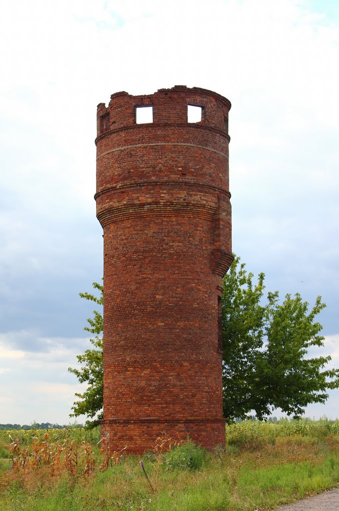 Старая водонапорная башня, Володарское