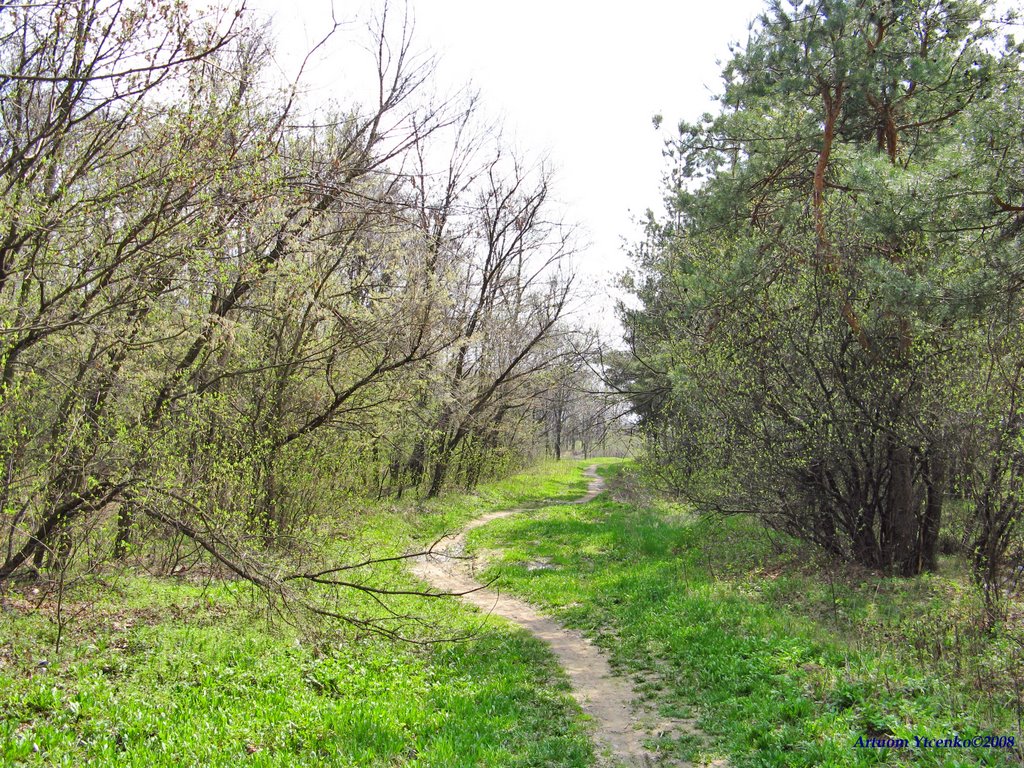 В лесничестве весной, Дзержинск