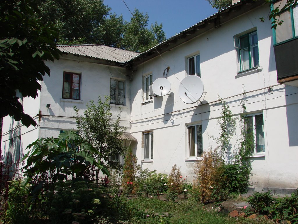 Один из домов, Димитров