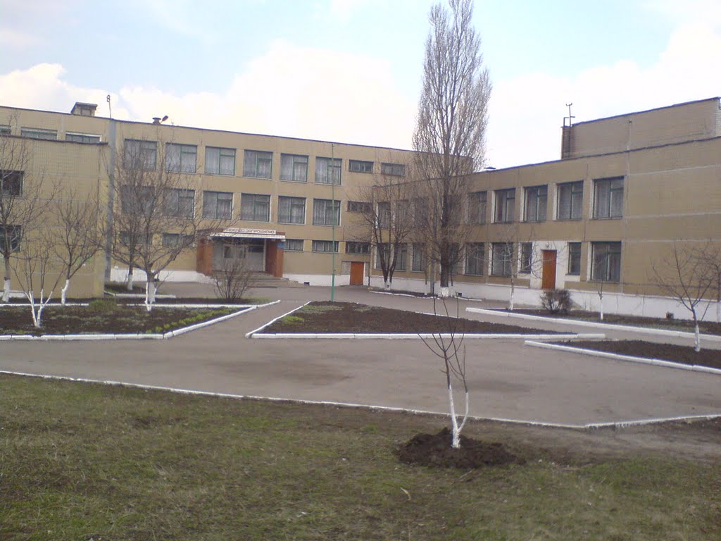 Гимназия 2008, Димитров