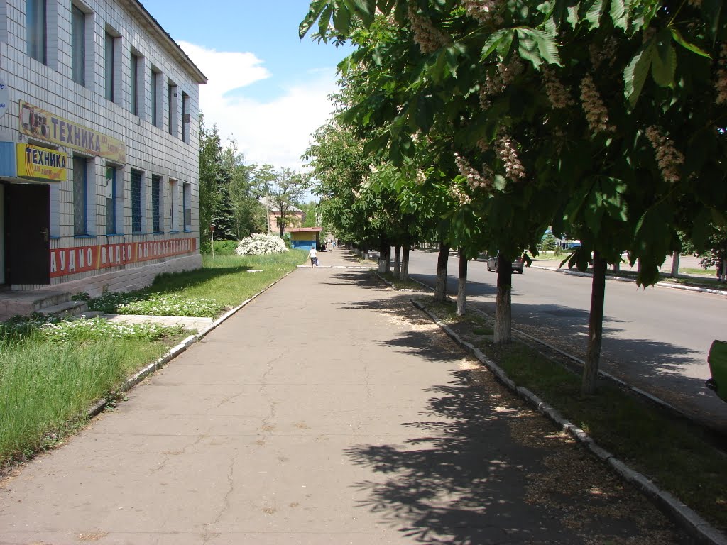 Улица Ватутина, Димитров