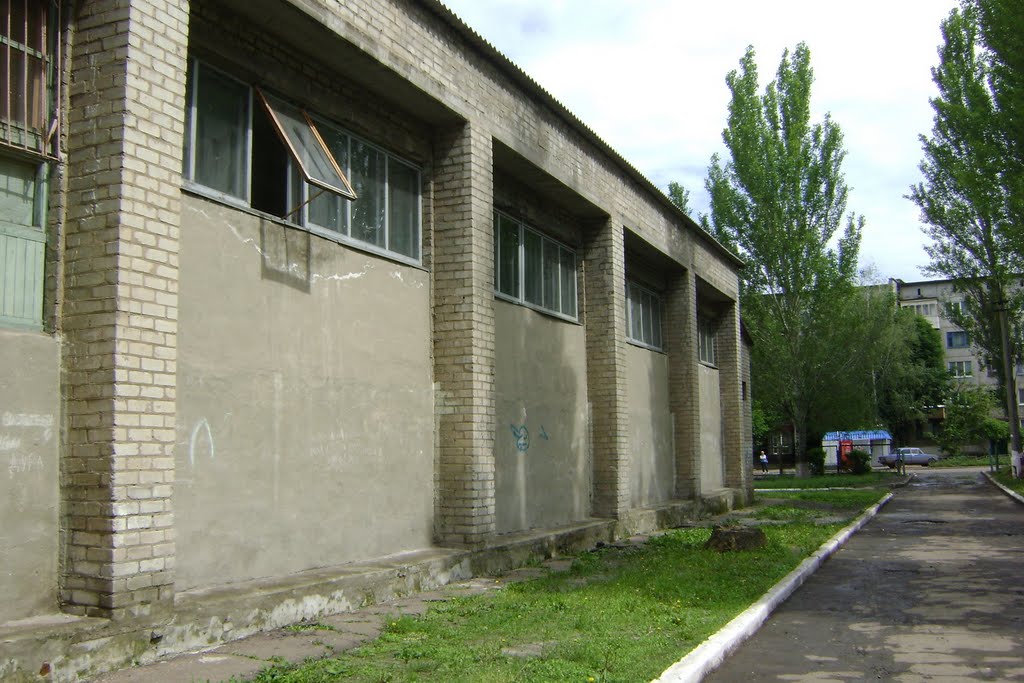 10-я школа -спортзал, Димитров