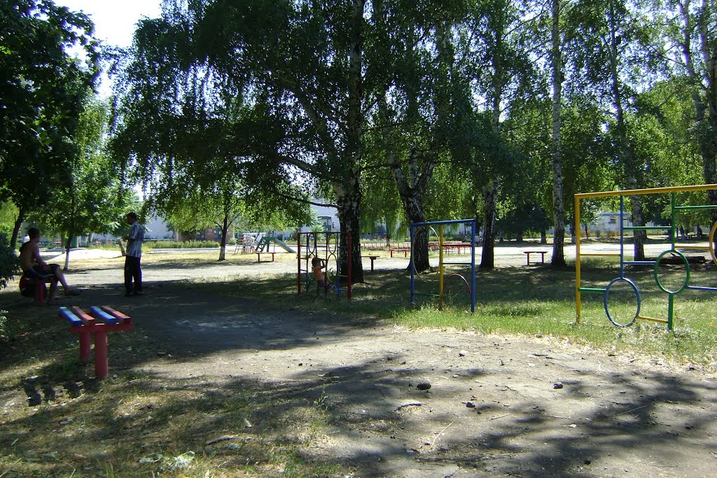 В летнем парке, Димитров