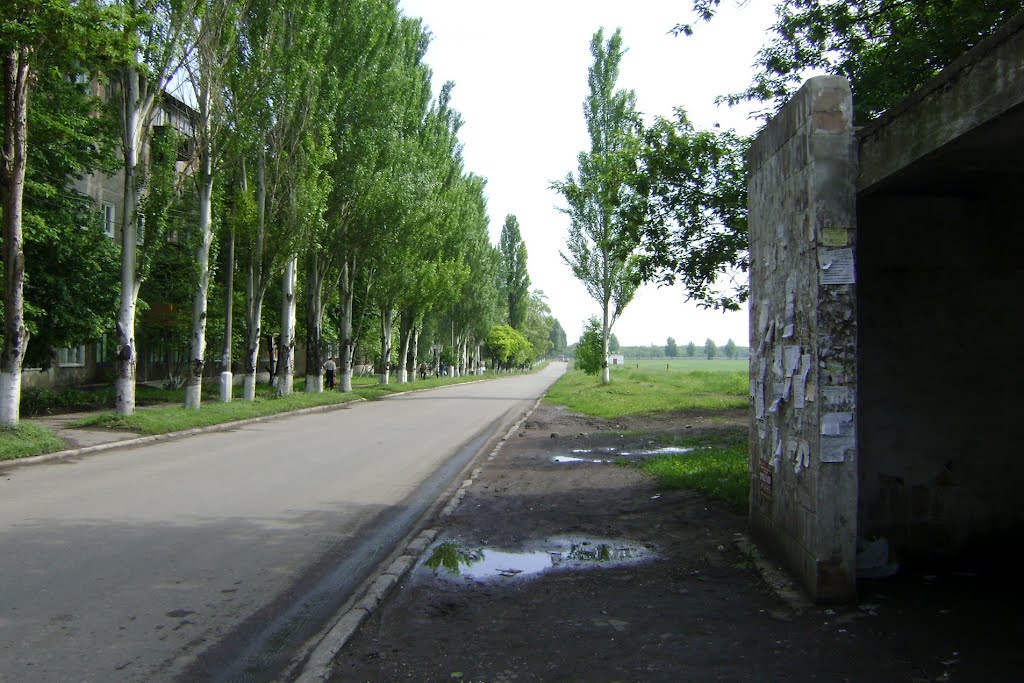 Дорога вокруг микрорайона, Димитров
