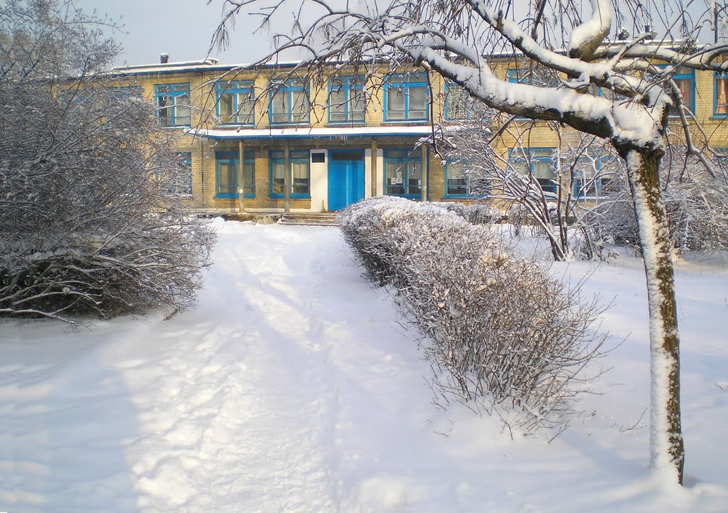 Школа №6, Доброполье