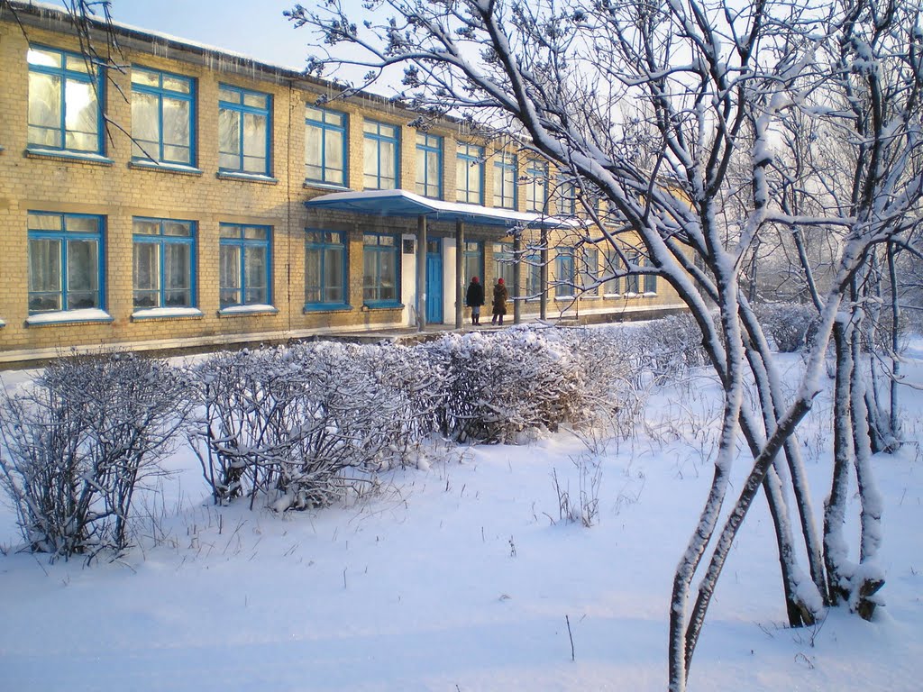 Школа №6, Доброполье