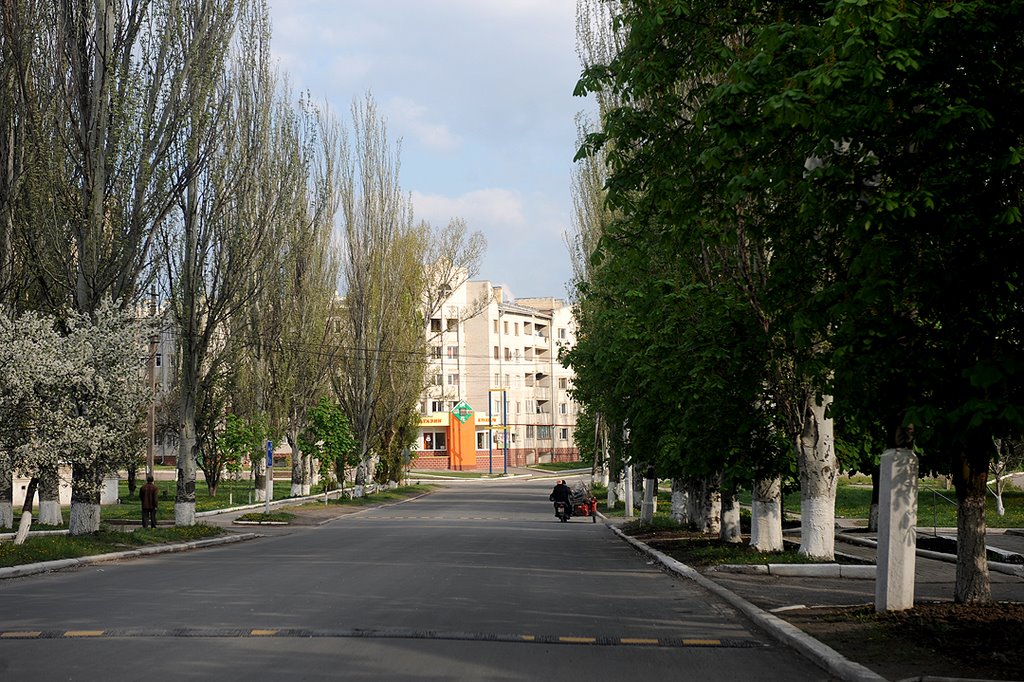 Докучаевск улица центральная 47 фото дома Докучаевск улица центральная 47 фото дома