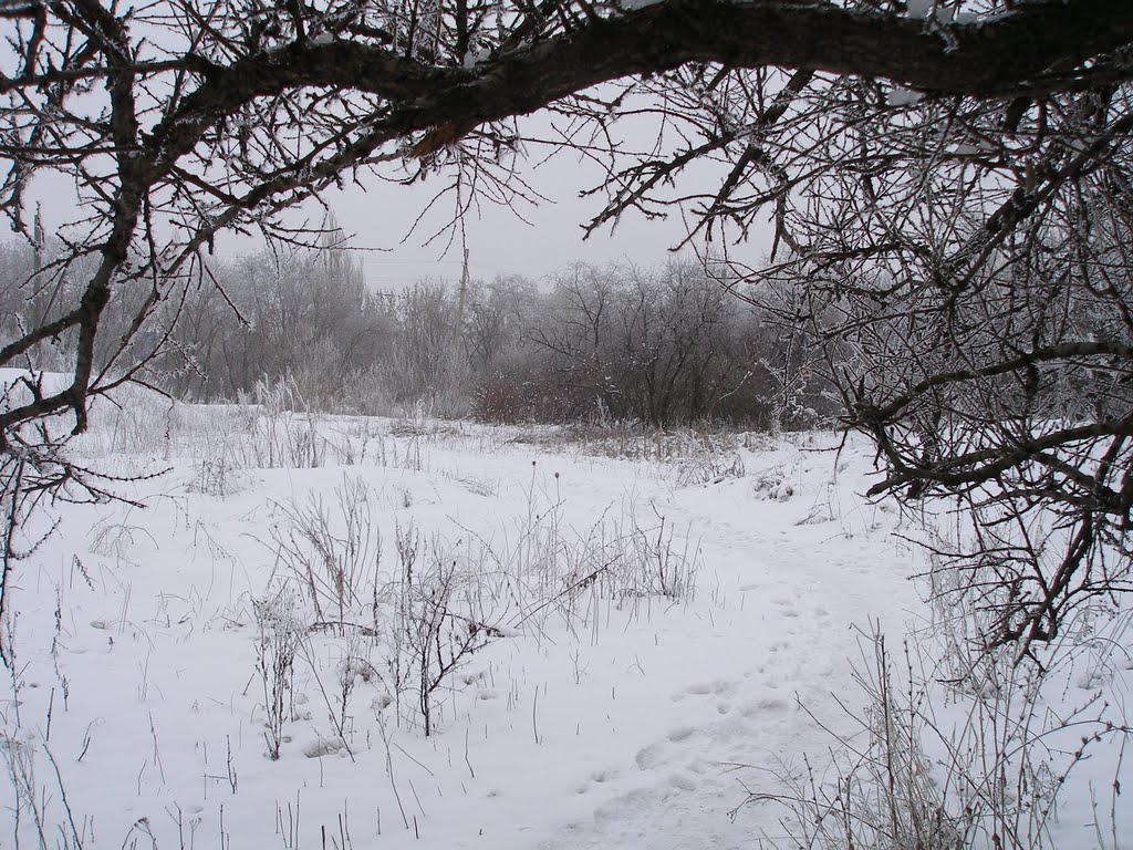Тропинка к гаражам. январь 2011г, Докучаевск