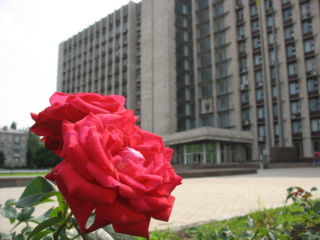 Интернет Магазины Города Донецка