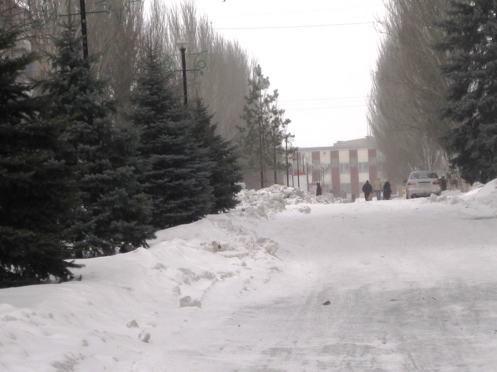 Улица Ленина, Донское
