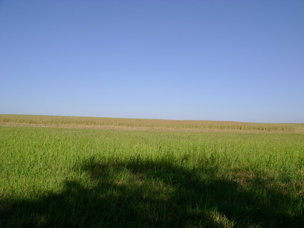 поле, Донское