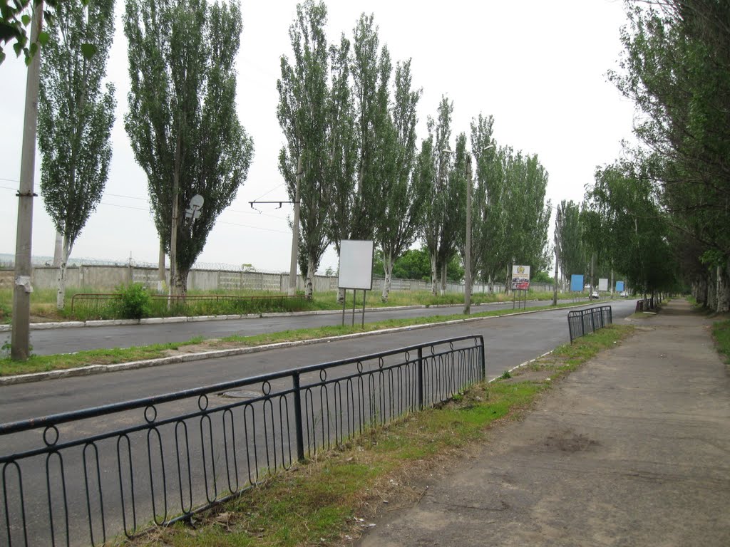 улица Радченко, Дружковка