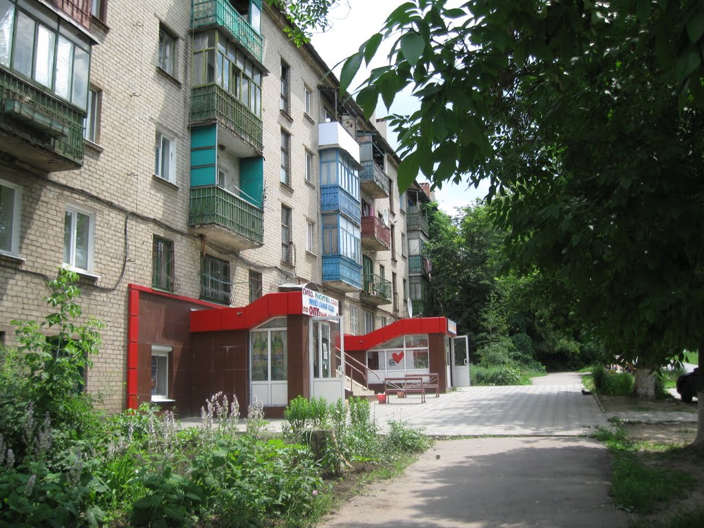 Дом №33 по ул. Ленина, Дружковка
