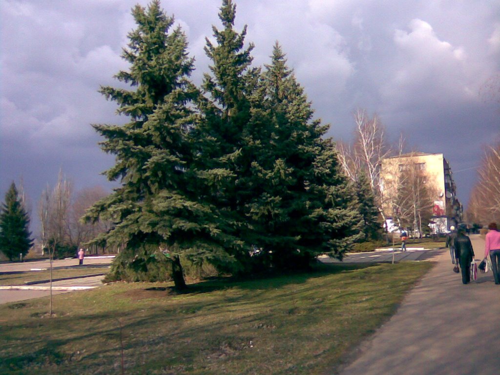 Сквер возле Кишени, Дружковка