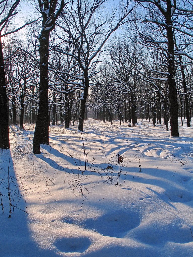Зимний парк, Енакиево
