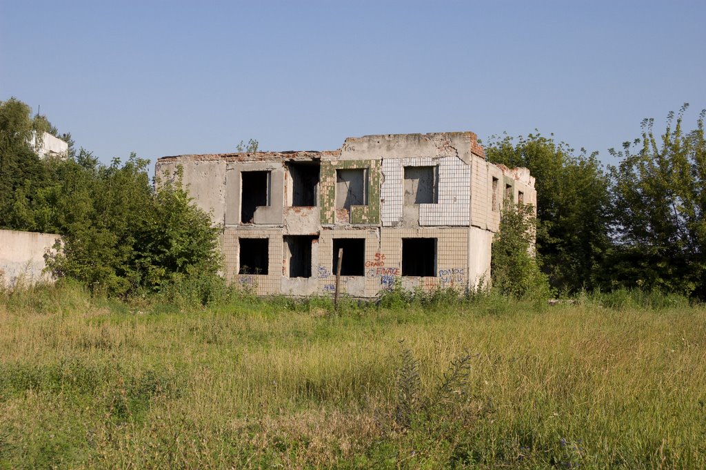 Ruins, Жданов